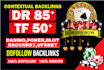 make high tf 50 and high DR 85 SEO dofollow backlinks