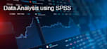 perform statistical analysis using spss for your research or dissertation