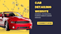 do professional car detailing website design