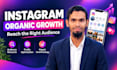do organic instagram promotion with targeted audience