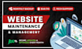 provide wordpress website maintenance, management and update