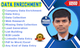 do data enrichment, data entry and company data entry