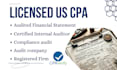 prepare audited financials and verify as licensed CPA