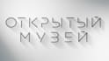 create a custom motion graphics animated logo intro