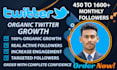 promote and grow your twitter organically