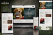 design premium website and app UI UX