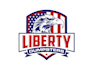 create and redesign a contemporary, distinctive political logo