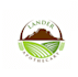 design efficient masculine elegant logo