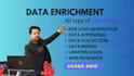do data entry, data enrichment and b2b lead generation