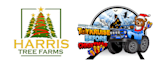 create modern christmas logo design