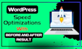 do wordpress speed optimization and boost wordpress speed