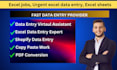 do fast accurate excel data entry