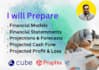 prepare financial statements, projected cashflow and financial models