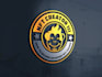 do professional logo design services