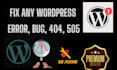 fix wordpress issues, errors, 404, 505, problems, and bug