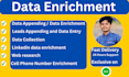 provide data appending enrichment and leads enrichment