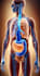 3d medical animation ,3d character animation and 3d product animation
