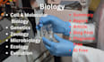 assist in cell and molecular biology, genetics, evolution, ecology