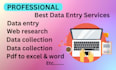 do accurate data entry, web research, and excel tasks