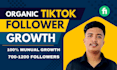 do super fast organic tiktok followers growth