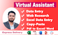 do data entry, web research, excel data entry