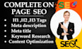 do optimization website onpage  SEO  service wordpress