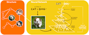 make your neural network