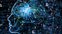 do data science or data analysis