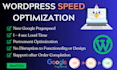 do wordpress website speed optimization and speed up for google page insights