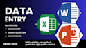 do data entry in ms excel and google spread sheet