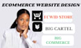 customized ecwid website store big cartel store design shopify redesign etsy
