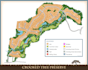 draw vector site plan or map illustration for real estate property