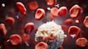 make 3d medical animation