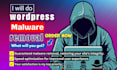 do wordpress malware removal improve wordpress security and clean malware