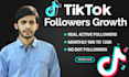 grow your tiktok organically and manually