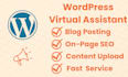 be your wordpress virtual assistant to upload blogs fix bugs