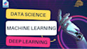 do deep learning, data science, ml and ai projects using pytorch, tensorflow etc