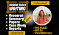 write case study, business, history, report, research and summary