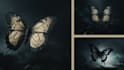 ai magic for your brand stunning images in seconds