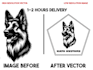 do vector tracing or illustration of anything or image