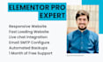 design a professional website with elementor pro