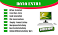 do data entry, excel data entry, copy paste, and typing