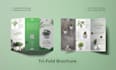 design professional trifold, bifold brochure