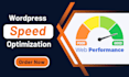 optimize wordpress page speed at pagespeed insights, gtmetrix