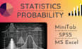 do probability and statistics assignments with excel spss