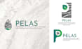 create custom logo design for you