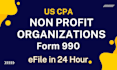 prepare and efile non profit return 990ez, 990n, 990pf