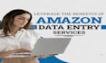 do excel data entry, data entry, PDF to excel data entry