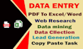 do fast any data entry accurately for you