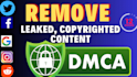 send dmca takedown notices to remove pirated, leaked, defaming content